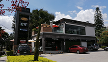 h4-thum-cipreses-nuevo