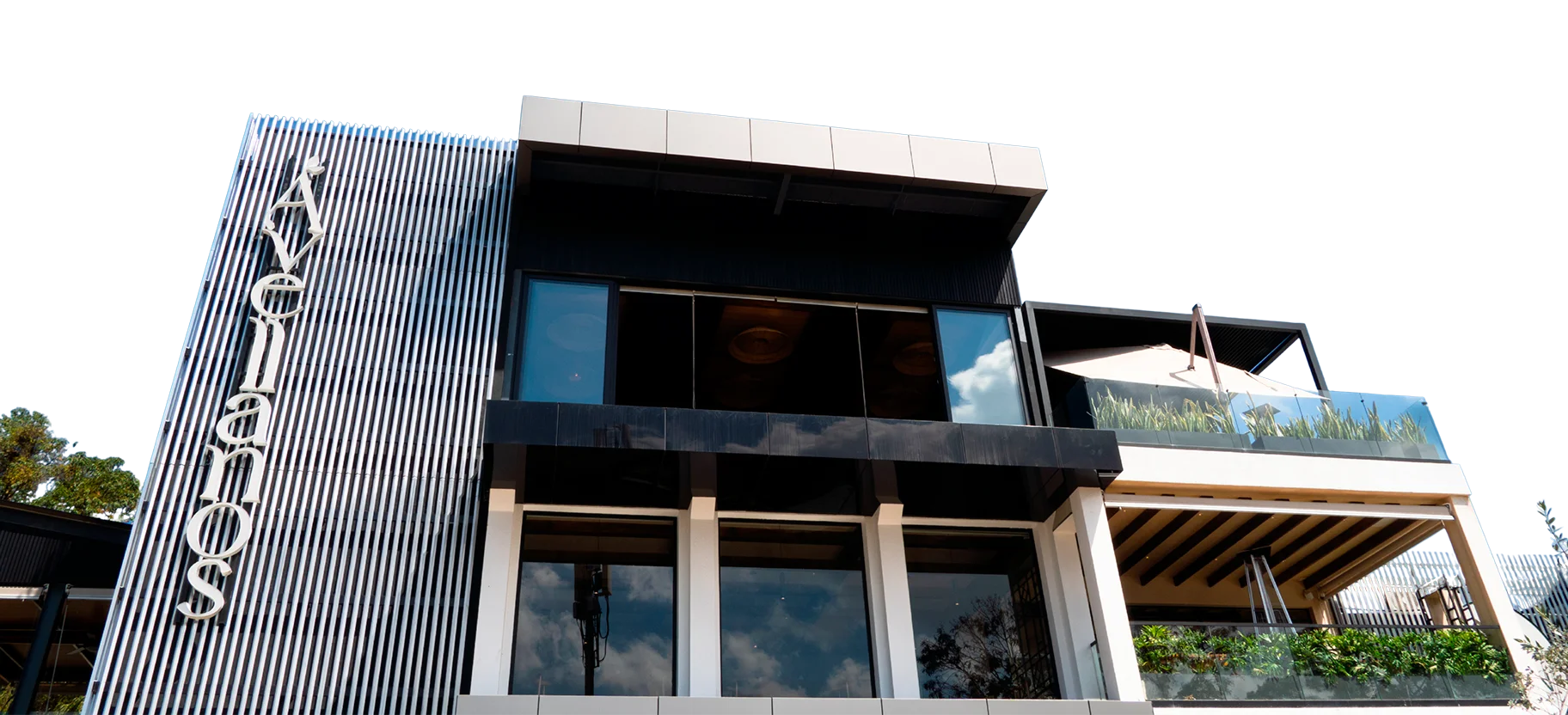 SlideGalesWeb-AvellanosPro2