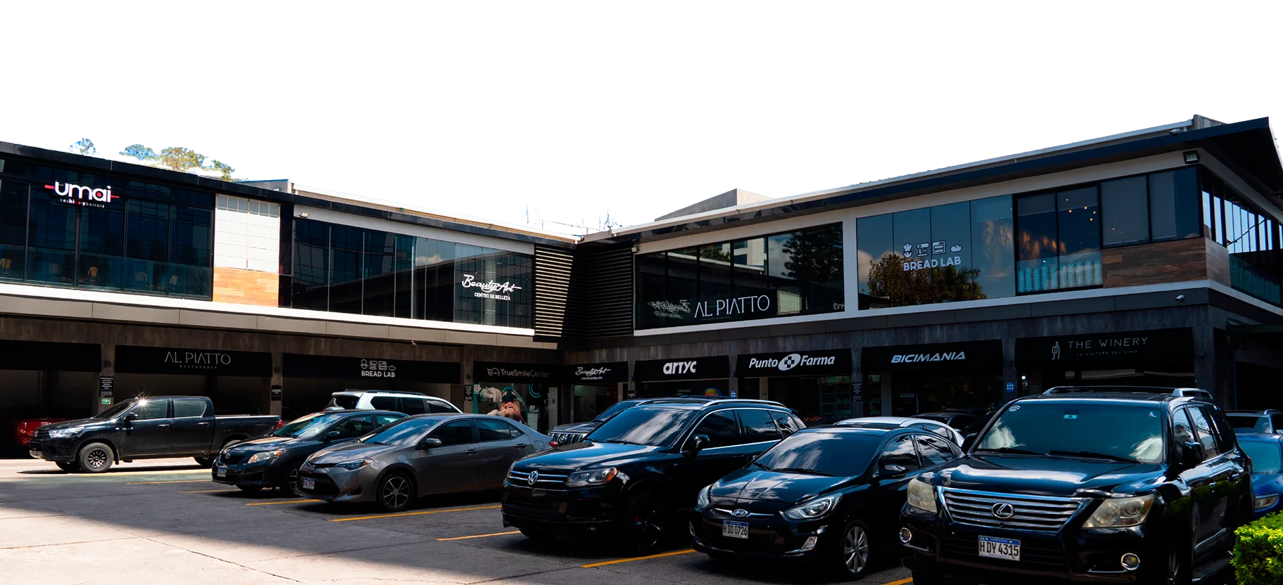 SlideGalesWeb-CipresesPro1